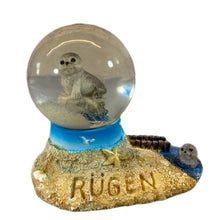 Laden Sie das Bild in den Galerie-Viewer, Schneekugel "Insel Rügen - Robben am Strand"