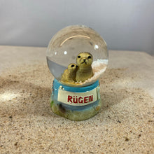 Laden Sie das Bild in den Galerie-Viewer, Schneekugel "Insel Rügen - Robbe"