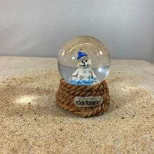 Laden Sie das Bild in den Galerie-Viewer, Schneekugel "Ostsee - Robbe"