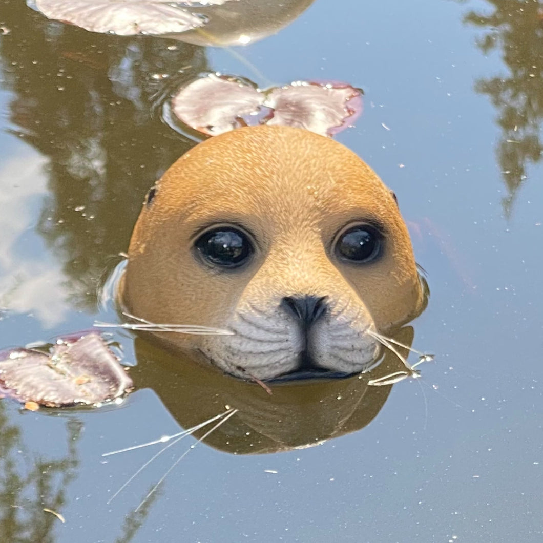 Schwimmende Robbe, Seehund, Deko für Teich und Garten, hellbraun oder grau